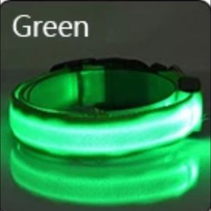 The Taking Caution Collar- Green
